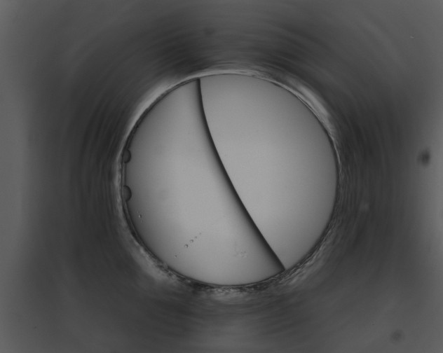 X0000095670907200801081036