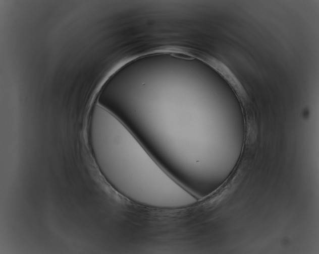 X0000095670908200801081036
