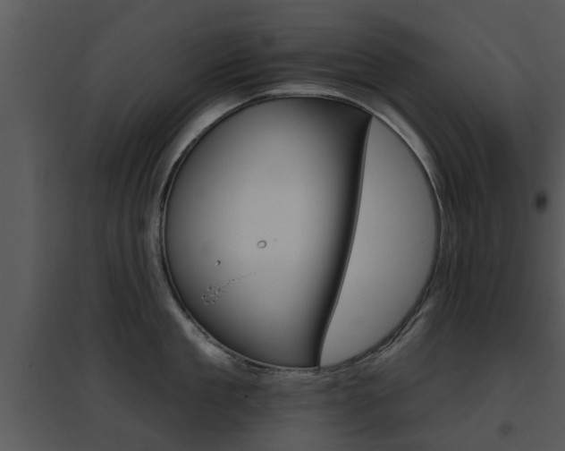 X0000095670909200801081036