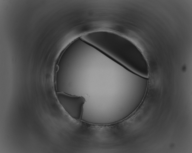 X0000095670910200801081036