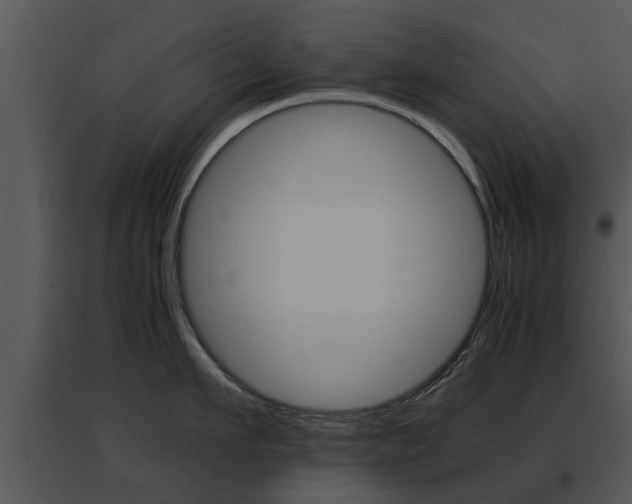 X0000095670911200801081036