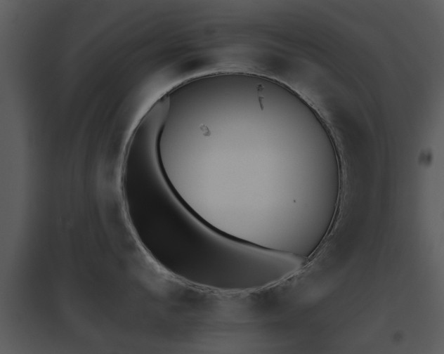 X0000095670912200801081036