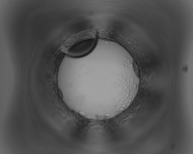 X0000095670913200801081035