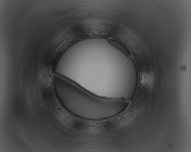 X0000095670915200801081035