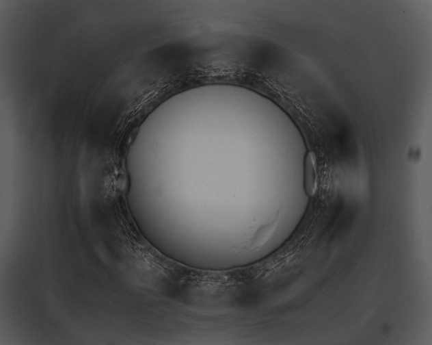 X0000095670916200801081035