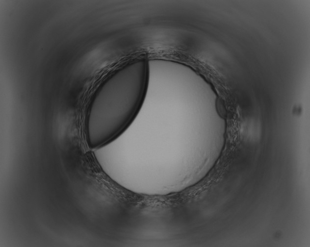 X0000095670917200801081035