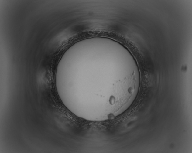 X0000095670918200801081035