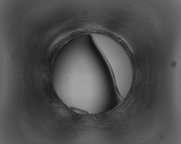 X0000095670919200801081035