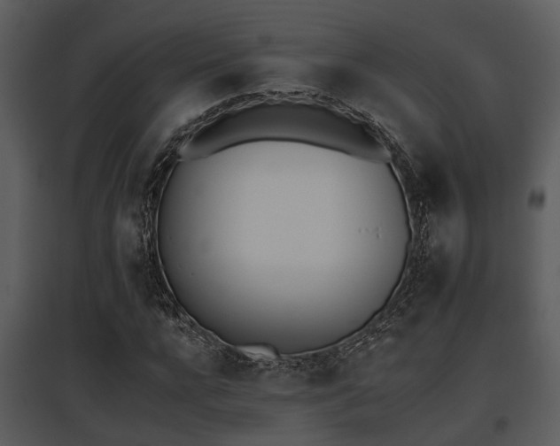 X0000095670920200801081035