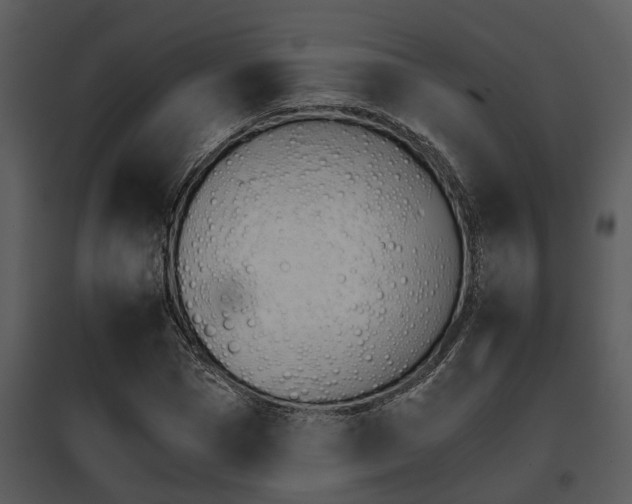 X0000095670921200801081035
