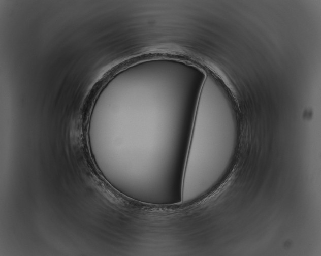 X0000095670923200801081036