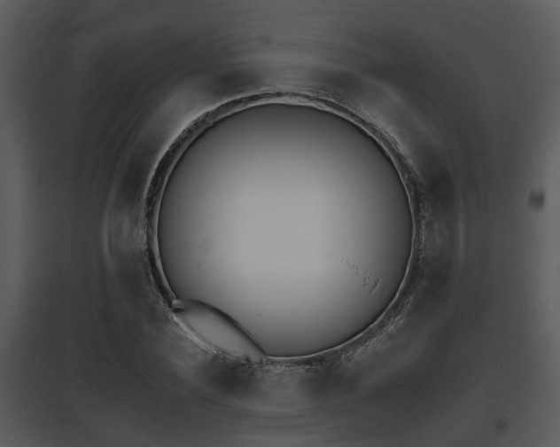 X0000095670924200801081036