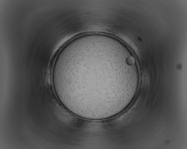 X0000095670925200801081036