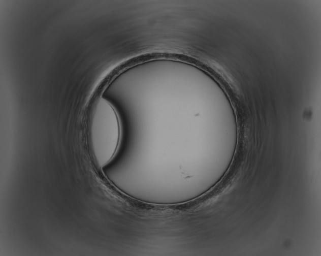 X0000095670926200801081036