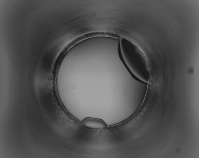 X0000095670927200801081036