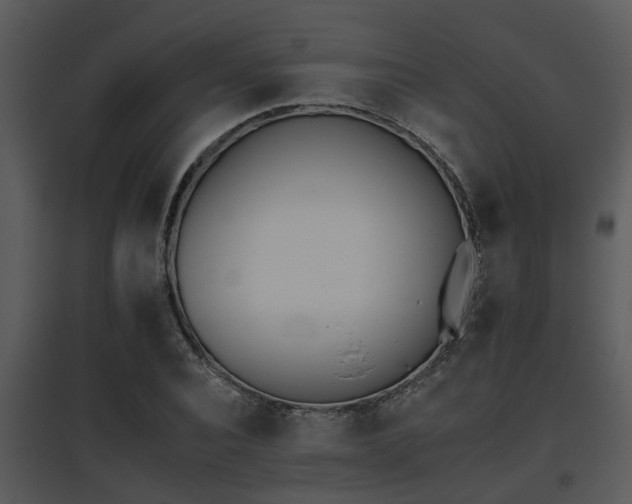 X0000095670928200801081036