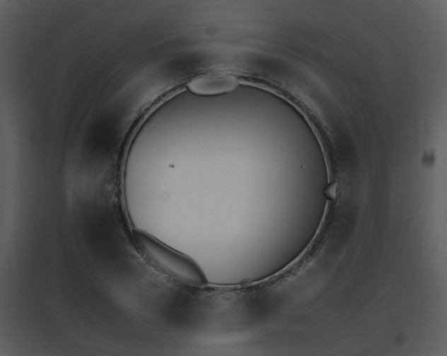 X0000095670930200801081036