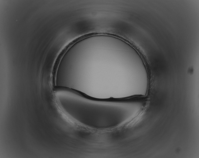 X0000095670932200801081036
