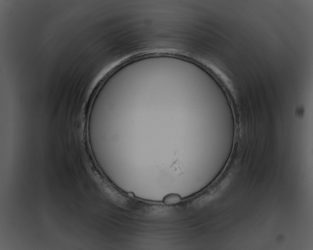 X0000095670933200801081036