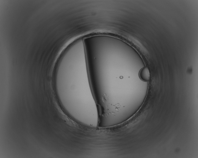 X0000095670934200801081036