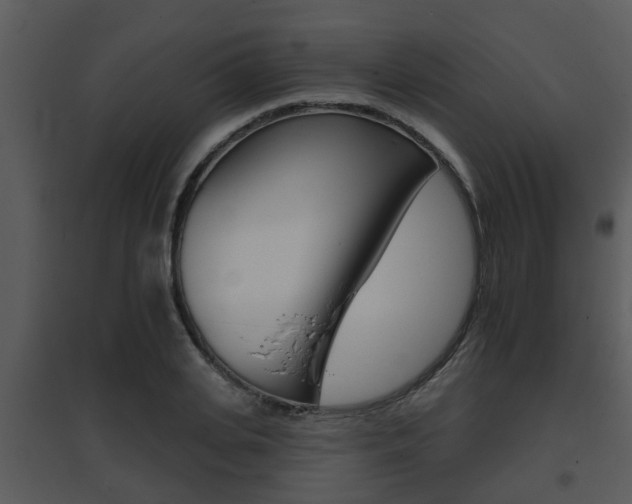 X0000095670935200801081036
