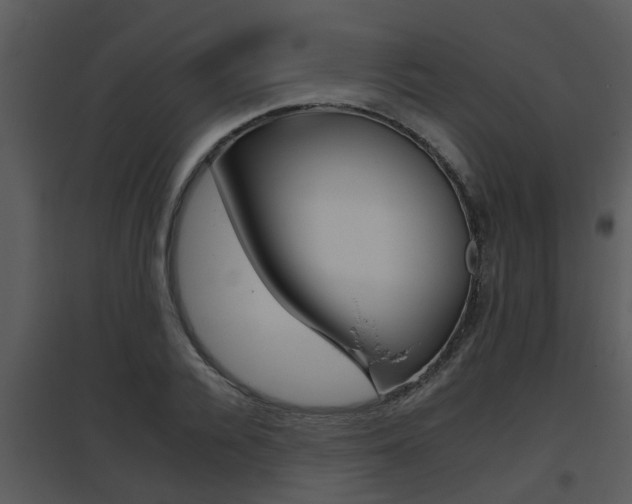 X0000095670936200801081036