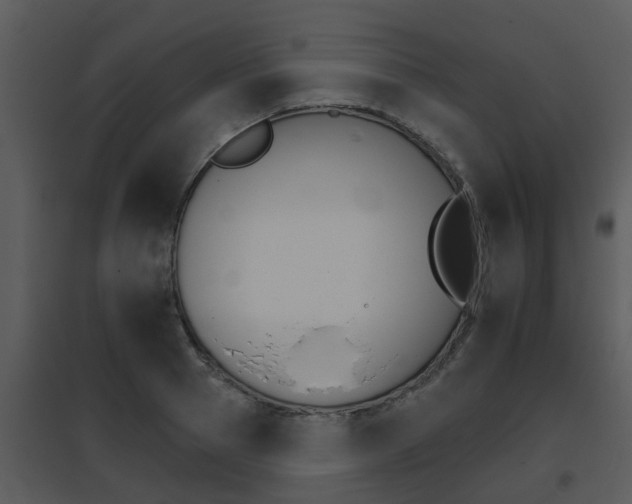 X0000095670937200801081036