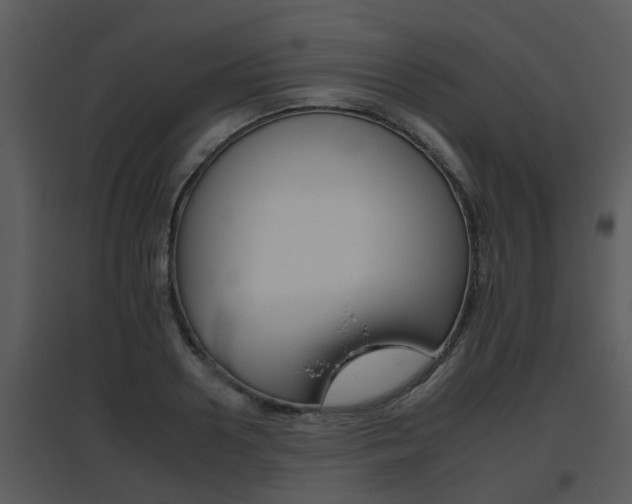 X0000095670938200801081036