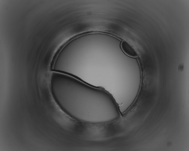 X0000095670939200801081036