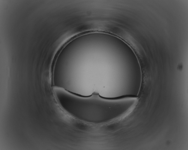 X0000095670940200801081036
