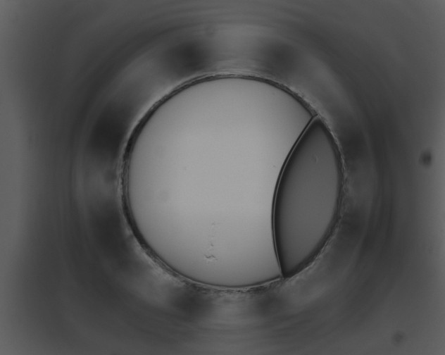 X0000095670941200801081036