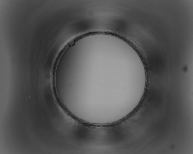 X0000095670942200801081036