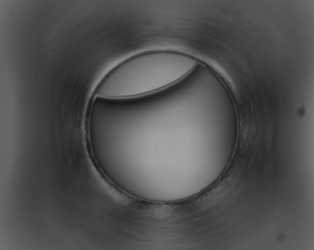 X0000095670943200801081036