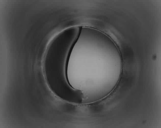 X0000095670944200801081036