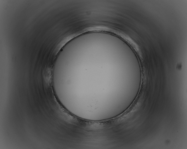X0000095670945200801081036
