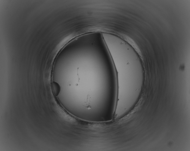 X0000095670946200801081036