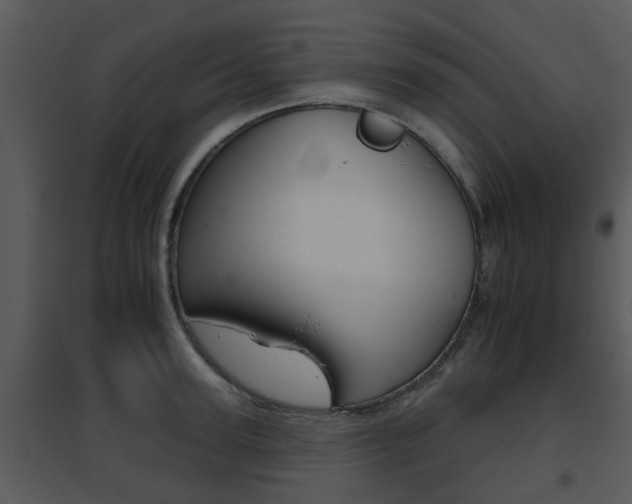 X0000095670947200801081036