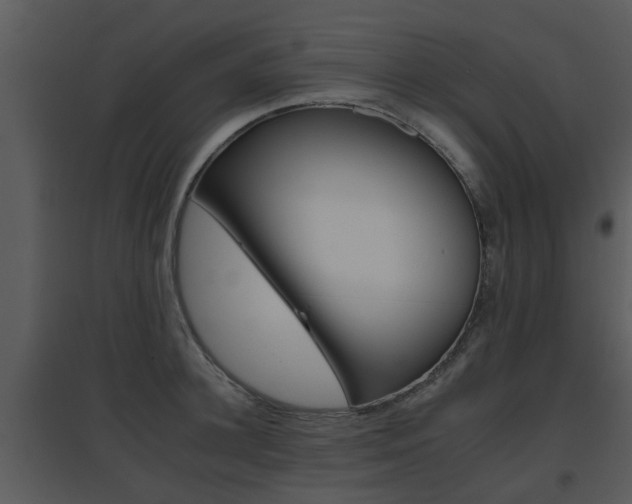 X0000095670948200801081036