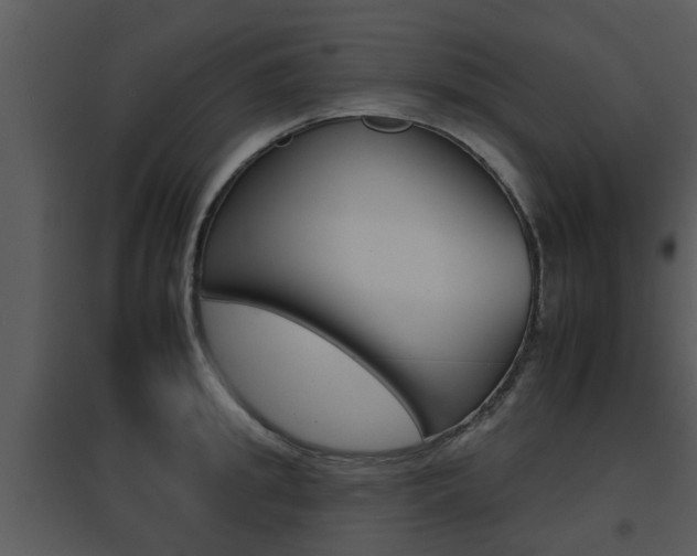 X0000095670949200801081036