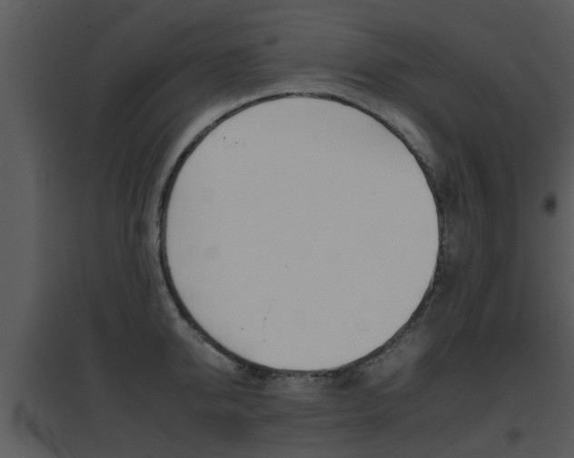 X0000095670950200801081036