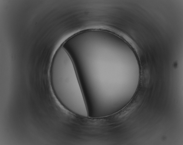 X0000095670951200801081036