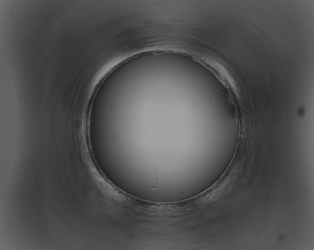 X0000095670952200801081036