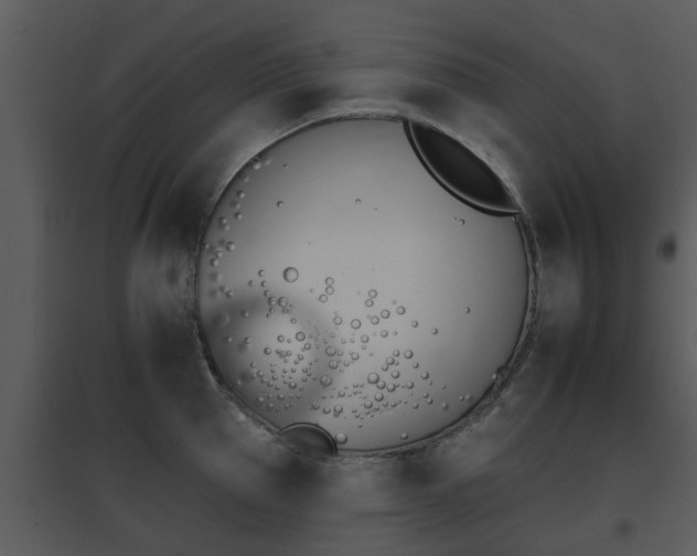 X0000095670953200801081036