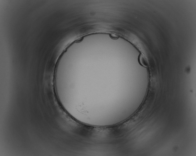 X0000095670954200801081036