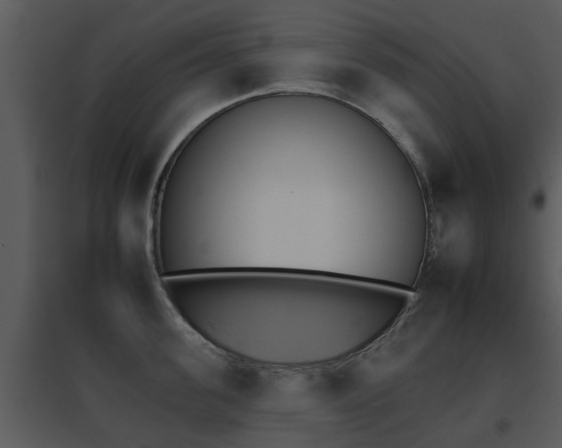 X0000095670955200801081036