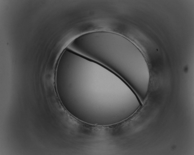X0000095670956200801081036