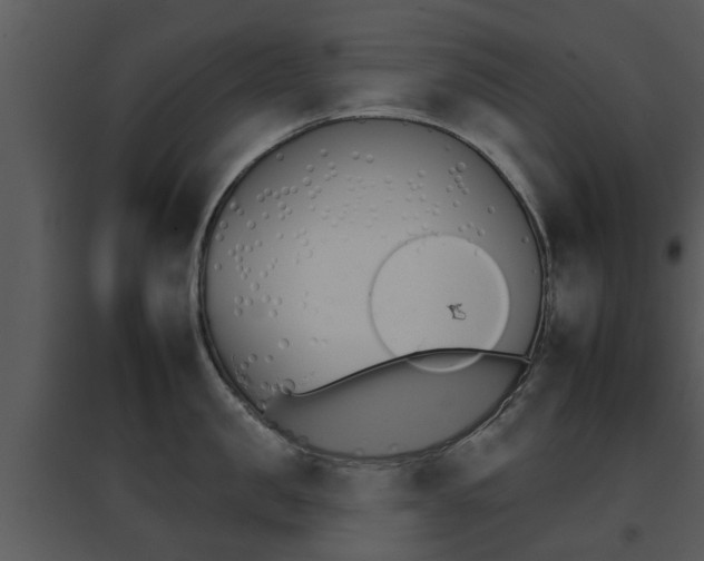 X0000095670957200801081036