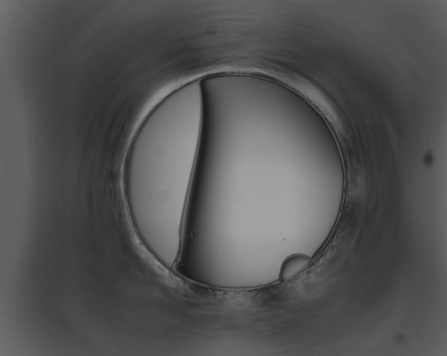 X0000095670958200801081036