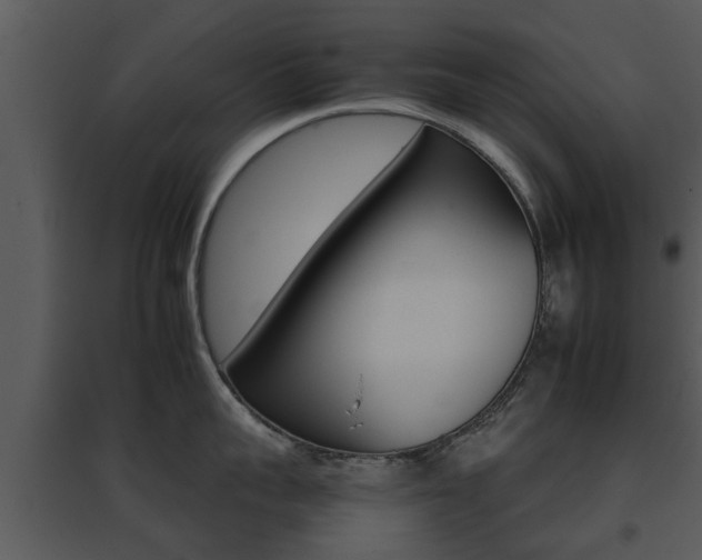 X0000095670959200801081036