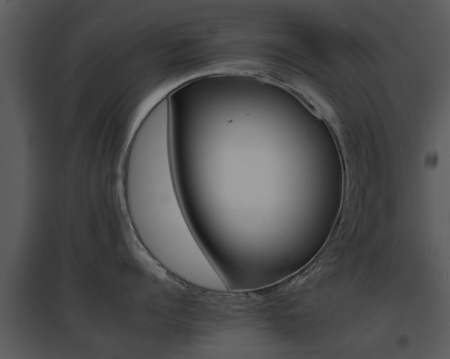X0000095670960200801081036